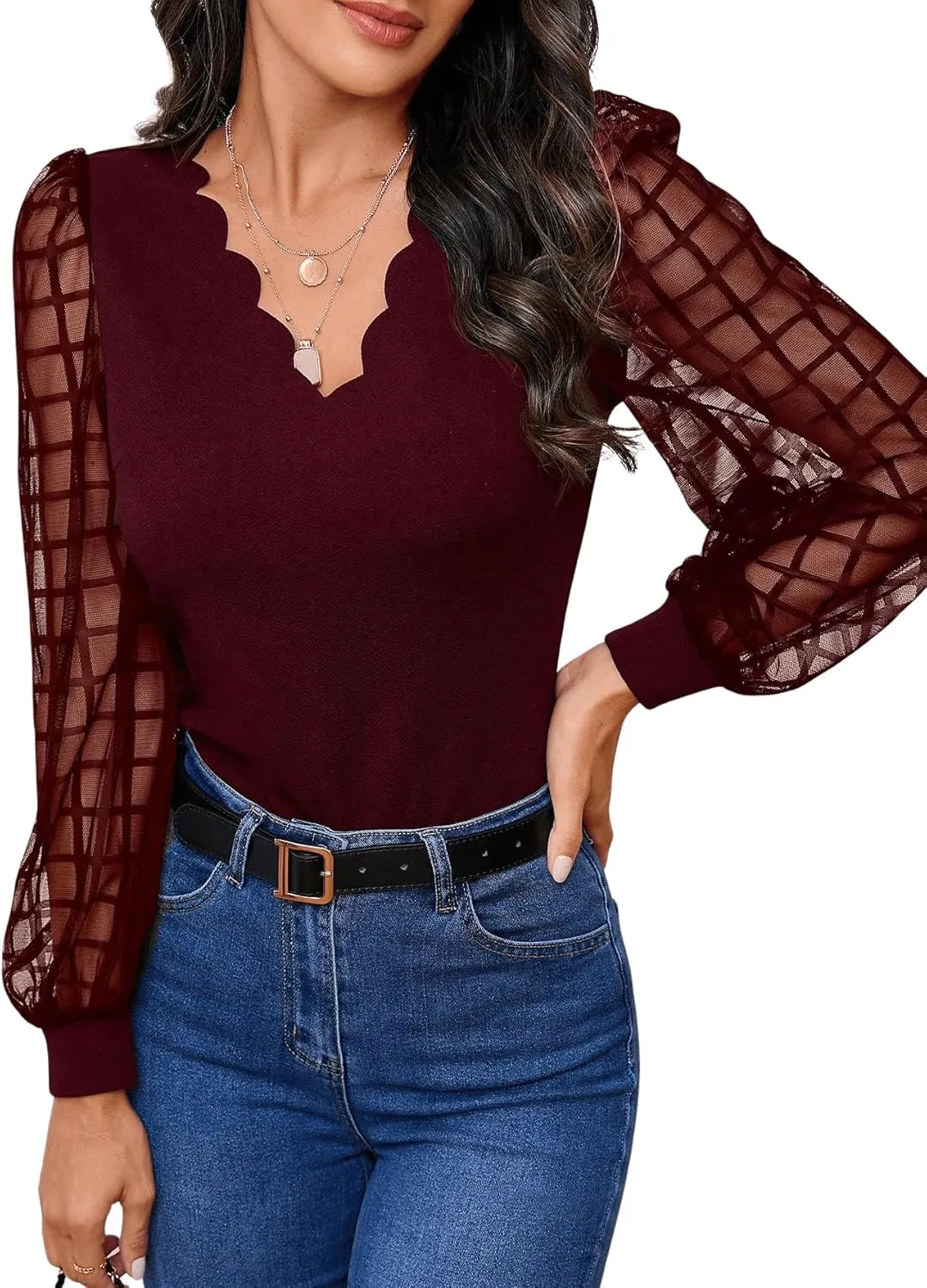 MakeMeChic Women's Lace Long Sleeve Tops Sheer Mesh Scallop Trim V Neck Blouse Shirt