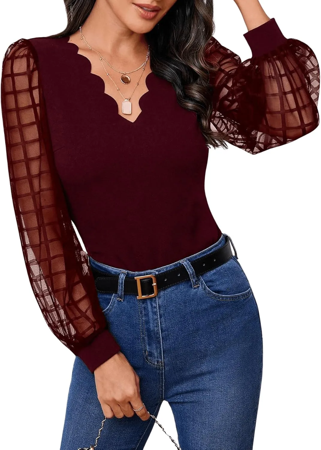 MakeMeChic Women's Lace Long Sleeve Tops Sheer Mesh Scallop Trim V Neck Blouse Shirt