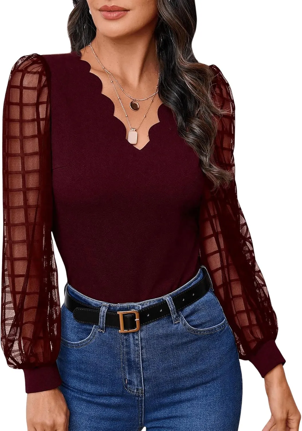 MakeMeChic Women's Lace Long Sleeve Tops Sheer Mesh Scallop Trim V Neck Blouse Shirt